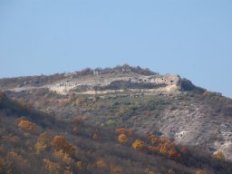 DSC_1251-1