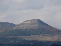 DSC_1254-1