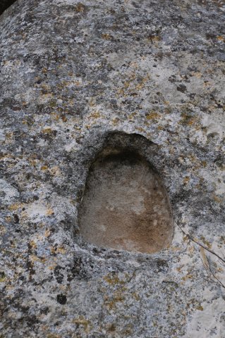 DSC_0771-1