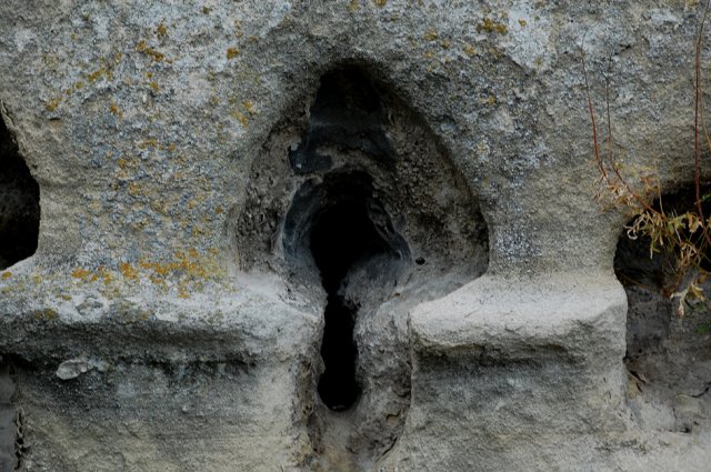DSC_0823-1