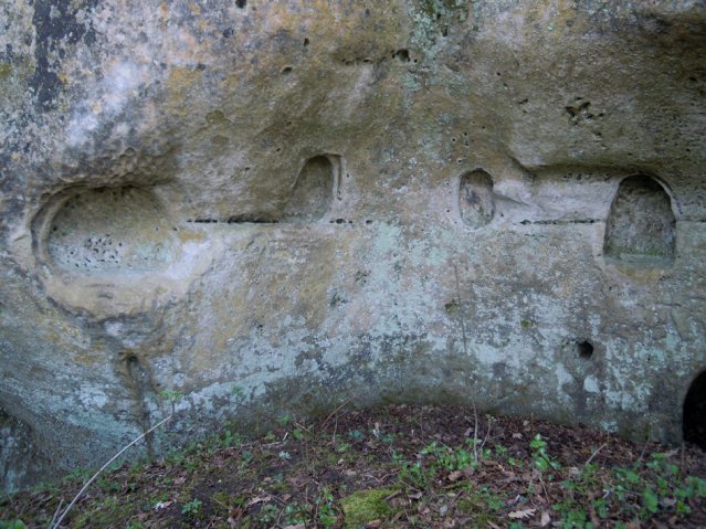 DSCN4183-1