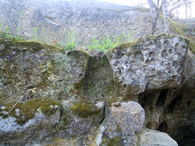 DSCN4196-1