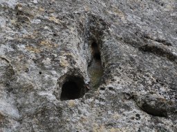 DSC_0762-1