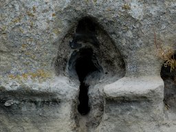 DSC_0823-1