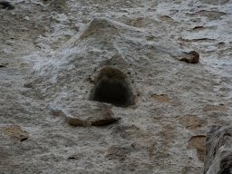 DSC_0849-1