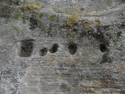 DSC_0896-1