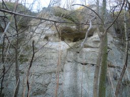 DSCN4203-1