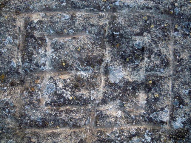 DSCN4132-1