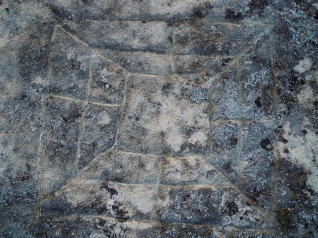 DSCN4136-1