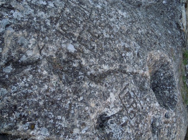 DSCN4150-1