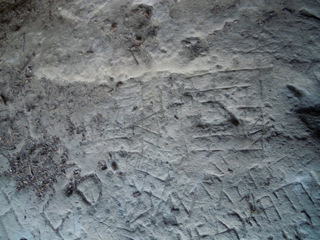 DSCN4157-1