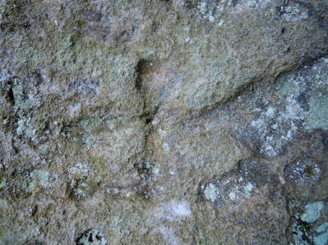 DSCN4185-1