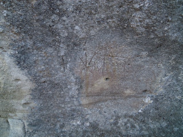 DSCN4213-1
