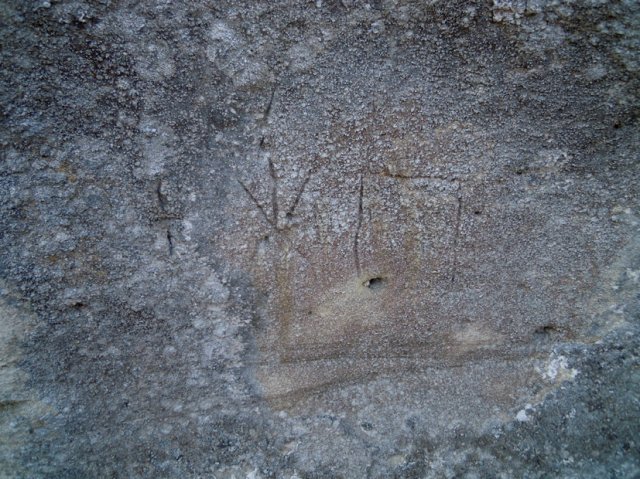 DSCN4214-1