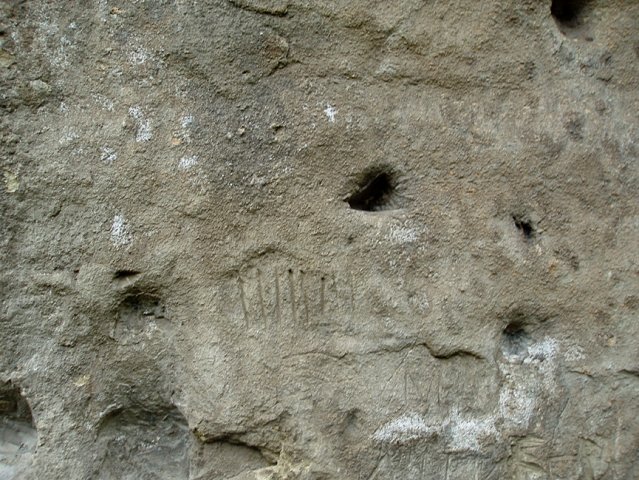 PB080137-1