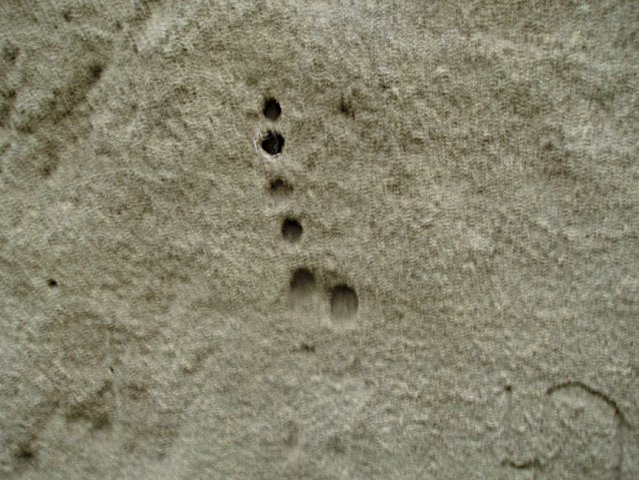PB080164-1