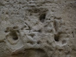 DSC_0865-1
