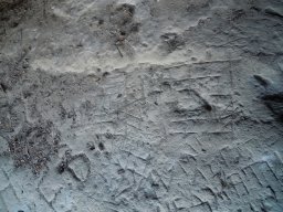 DSCN4157-1