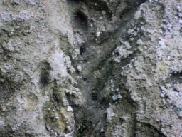 DSCN4173-1
