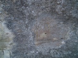 DSCN4213-1