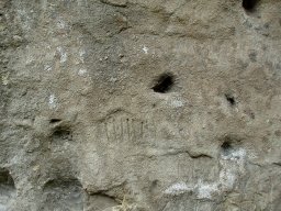 PB080137-1