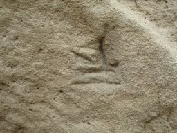 PB080158-1