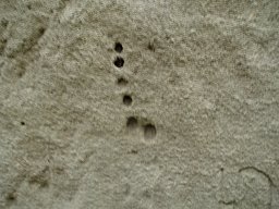 PB080164-1