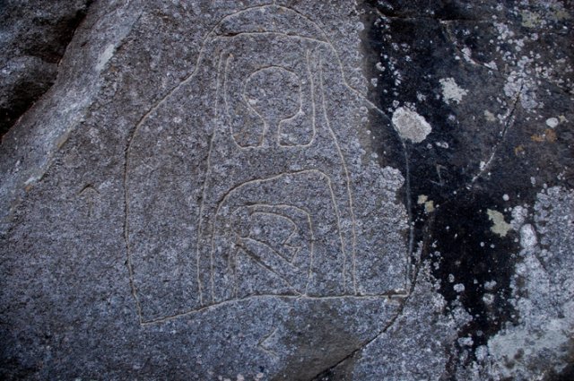 DSC_9707-1