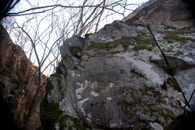 DSC_9730-1