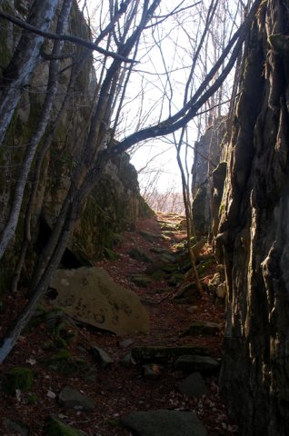 DSC_9739-1