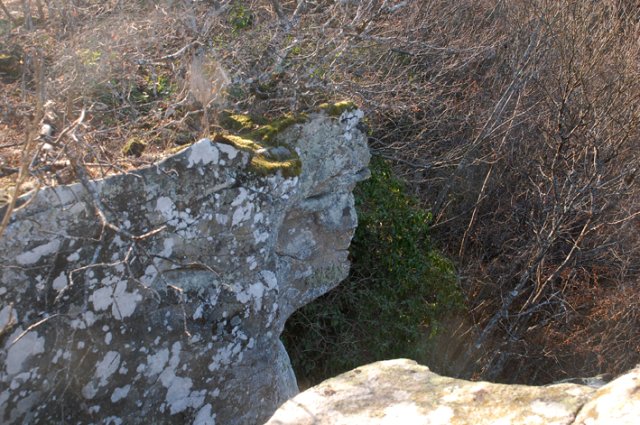 DSC_9792-1
