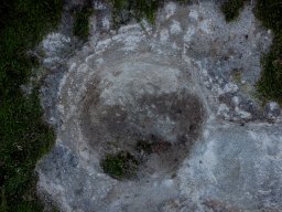 DSC_9662-1