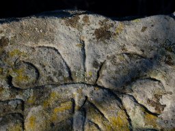 DSC_9686-1