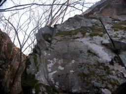 DSC_9730-1