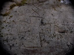 DSC_9734-1
