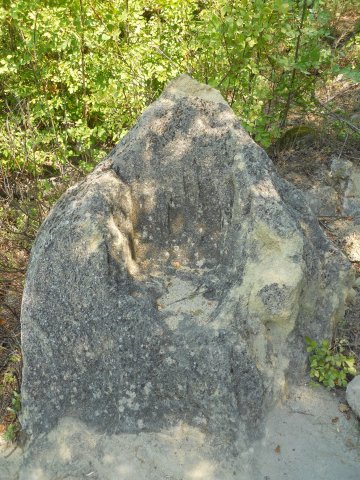 DSCN7379