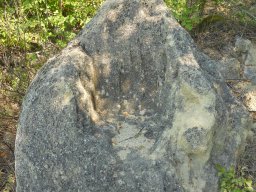DSCN7379