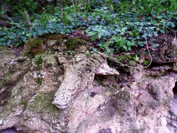 Sliven-Rock-Herd-Site-3-e1444305489940