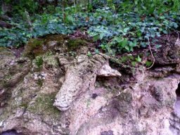 Sliven-Rock-Herd-Site-3-e1444305489940