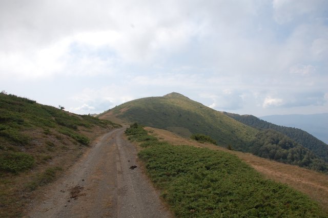 DSC_7821