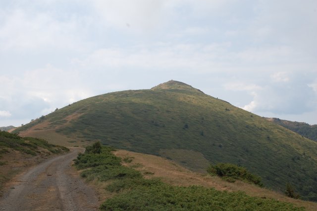 DSC_7822