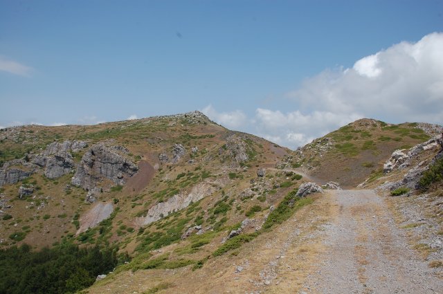 DSC_7889