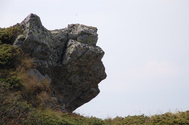 DSC_7931