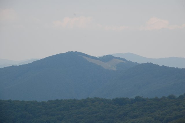 DSC_7937