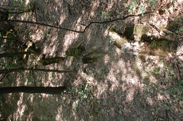 DSC_7993