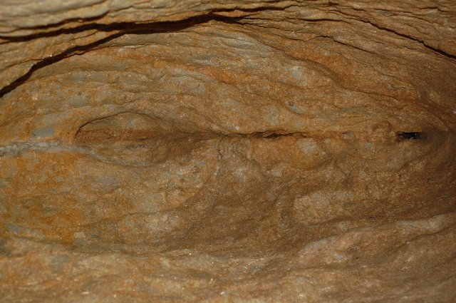 DSC_8053