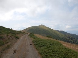 DSC_7821
