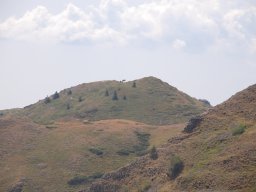 DSC_7828