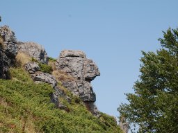 DSC_7860