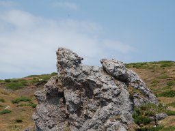 DSC_7892